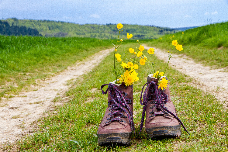 Wandern