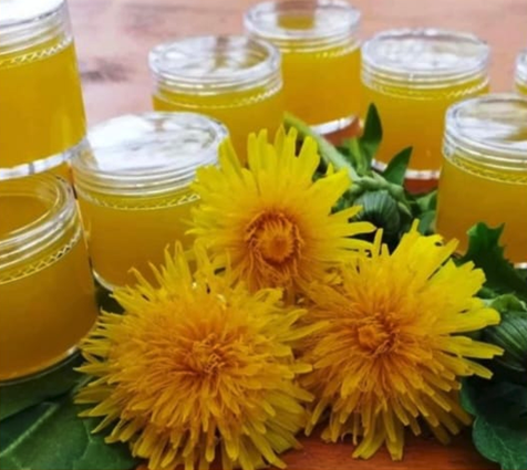 Kräuterworkshop – Salbe