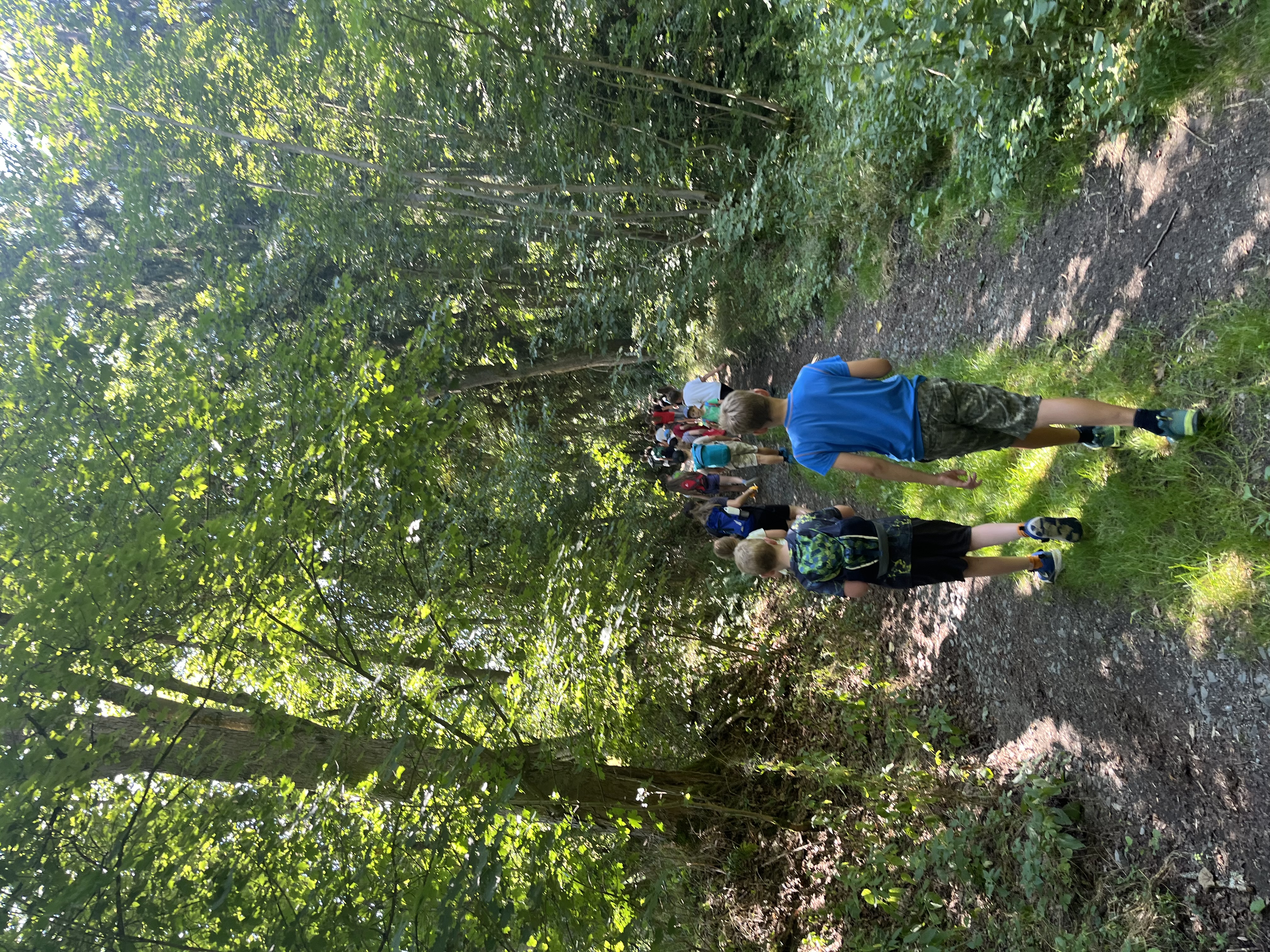Wald.jpeg