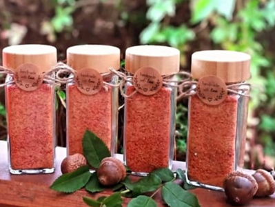 Kräuterworkshop – Salz