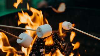 Feuer Kochen